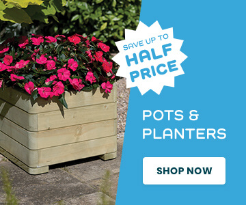 Pots & Planters